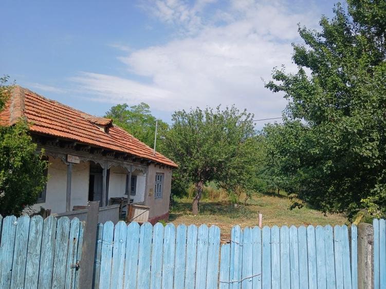 Casa de vanzaree - 1