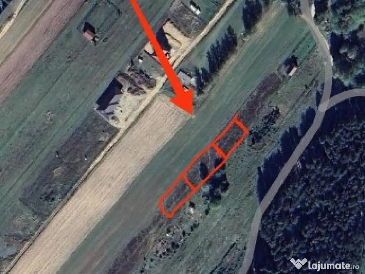 De vanzare terenuri intravilane in Reci - 4