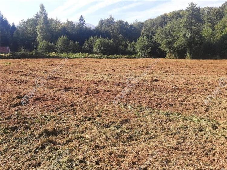 Teren intravilan de vanzare 1856 mp in Avrig zona Valea Avrigului - 5