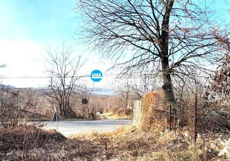 Teren 1500 mp, Bucium, la asfalt, PUZ, loturi - 5