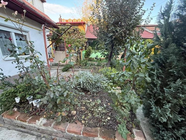 Apartament spatios, 3 camere, cu boxa pentru depozitare si gradina - Iosefin - 7