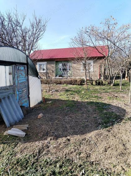 Casa batraneasca cu teren 4800m - 4