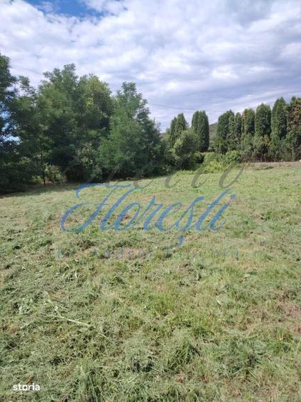 Casa 97 mp , 2200 mp teren, anexe com. Zimbor - 1