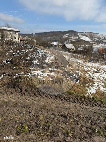 Vanzare teren itravilan Sanmartin,com. Chinteni CJ - 2