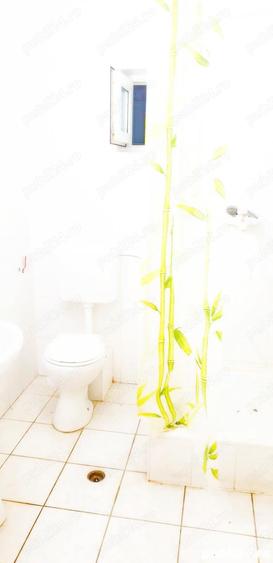 Cazare muncitori in elisabetin, zona apropiata de zona cal. sagului - 10