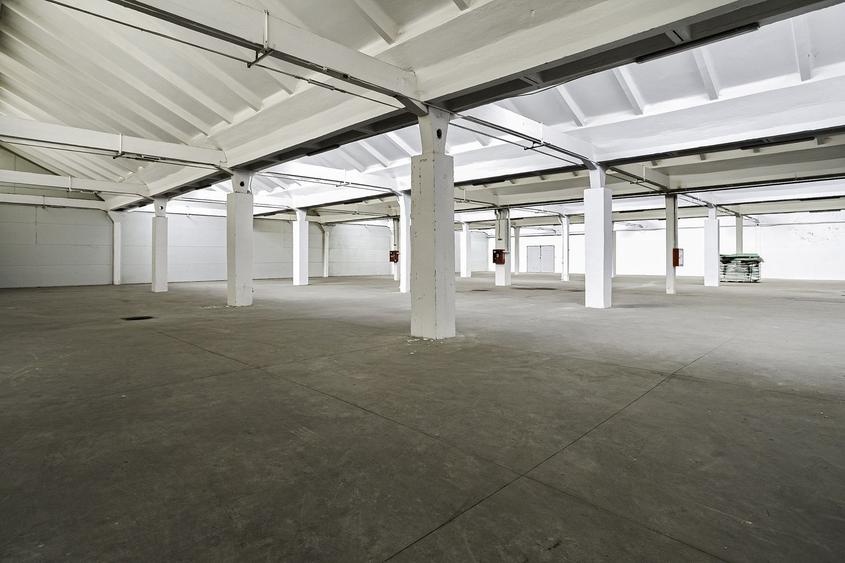 Hala Industriala de inchiriat 1.174 mp cu rampa egalizatoare, Arad - 4