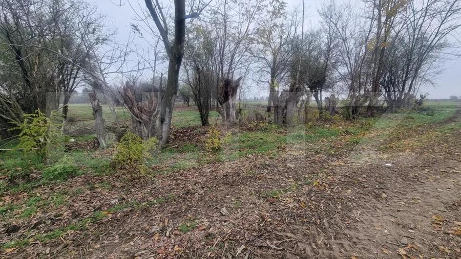 OPORTUNITATE TEREN 0,9 Ha intravilan constructii+extravilan - 18