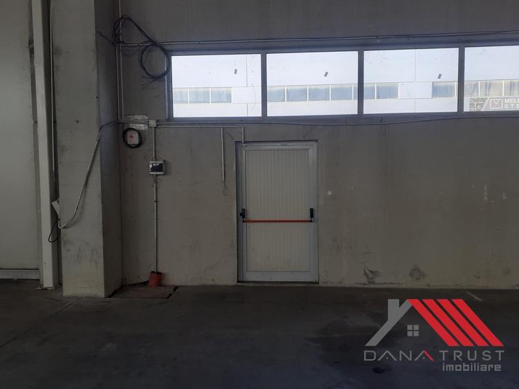 Hala depozitare  - Logistica  C. Lugojului acces TIR - 3