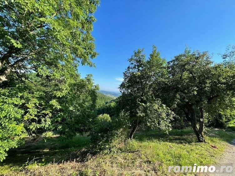 Teren zona turistica Rosia - 6