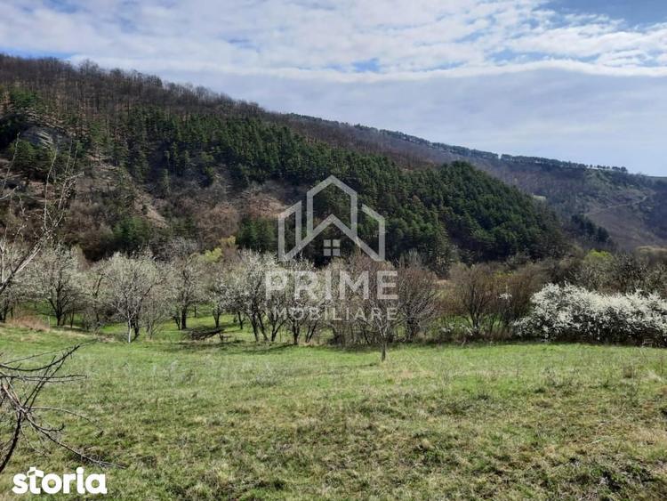 TEREN INTRAVILAN 13700 MP, INURI, VINTU DE JOS - 2