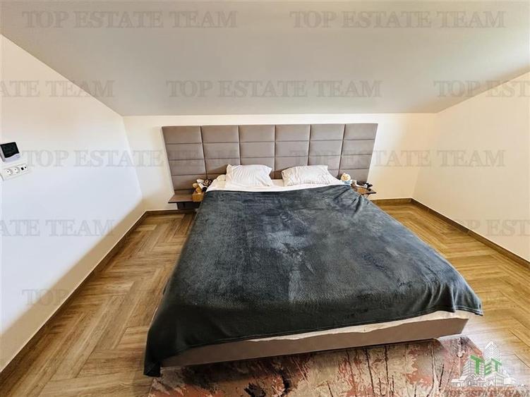 Vila individuala 300 mp construiti, 523 mp teren imprejmuit, strada privata, CHI - 16