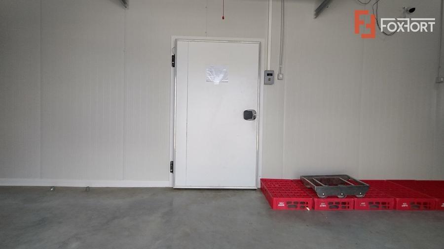 Inchiriere spatiu depozitare produse alimentare, Sacalaz - 11