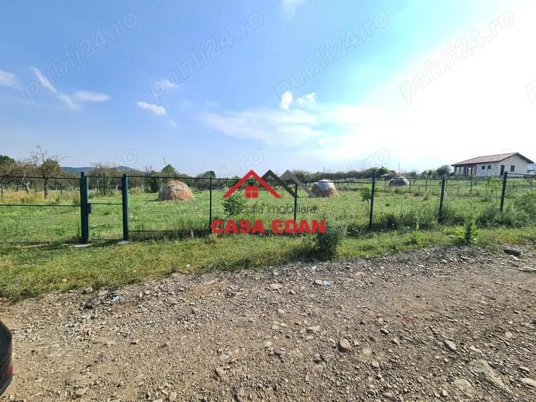 Teren intravilan in Campina, 7500mp--35e - 8