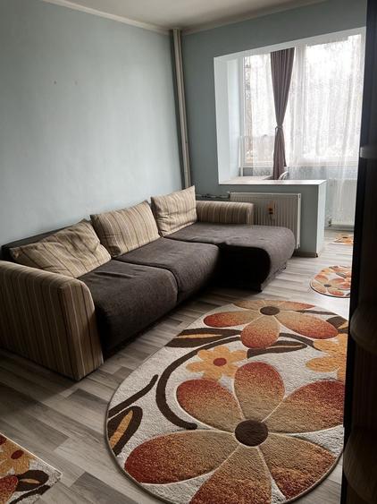 Apartament 2 camere decomandat tip An Rogerius , Corneliu Coposu 15 - 4