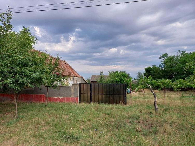 Casa de vanzare Arad - 4
