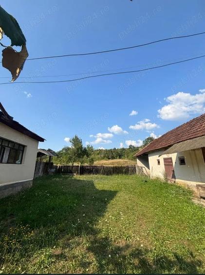 Casa cu teren generos 3000 mp- Grosi, Bihor - 6