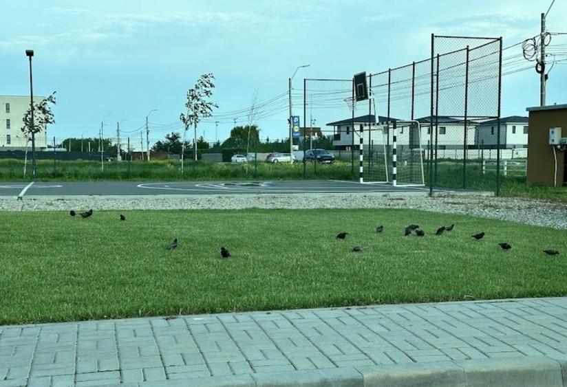 2 Camere I OTOPENI TUNARI I Loc de Parcare Inclus - 16