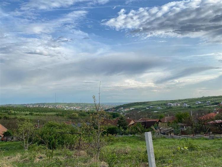 RECO Teren intravilan in  Saldabagiu de munte 985mp - 4