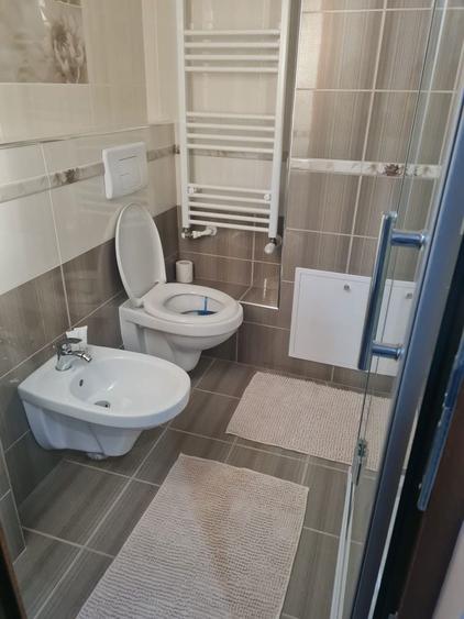 APARTAMENT 2 camere de inchiriat - 4