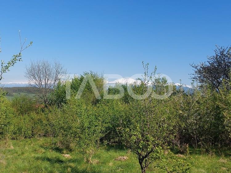 Teren 3445 mp pentru persoanele care doresc casa  cu teren generos - 4