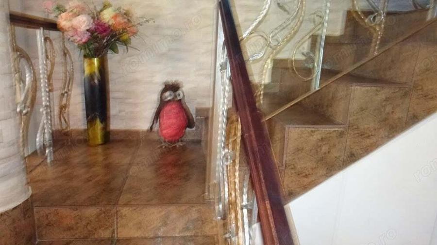 Vand casa in Deva P+M, zona centrala (foarte buna), suprafata totala de teren 360 mp, mobilata - 18