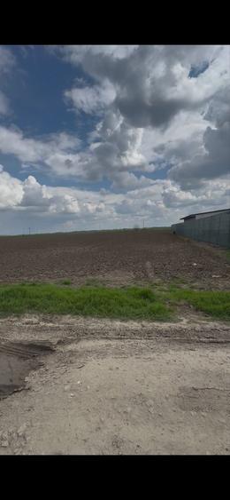 Vand teren intravilan Belciugatele com Cojesti - 1