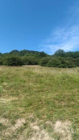 Proprietar vand teren Cabana Cheia - 1