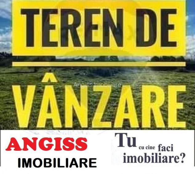 TEREN DEDEMAN -TULCEA