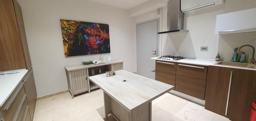 Vanzare Vila Iancu Nicolae/ British School - 4