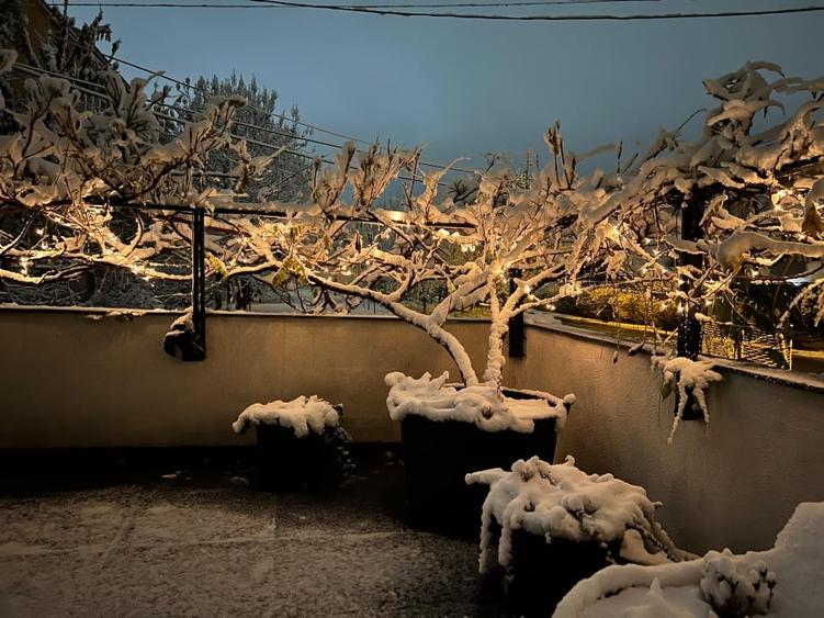 Apartament cu terasa si gradina proprie - 13