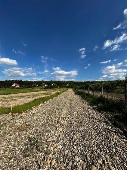 RECO Teren Intravilan, Alparea, Comuna Osorhei - 1