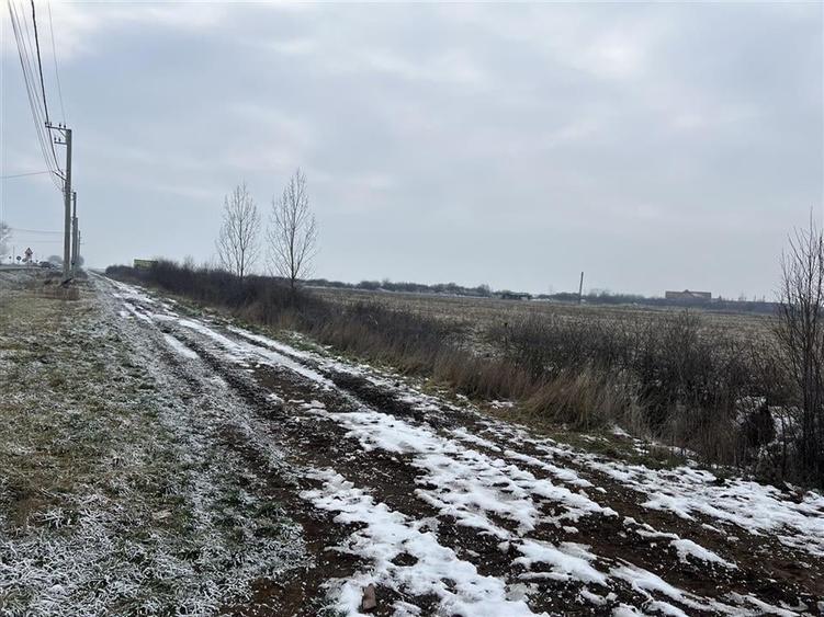 RECO teren intravilan Inand - 8