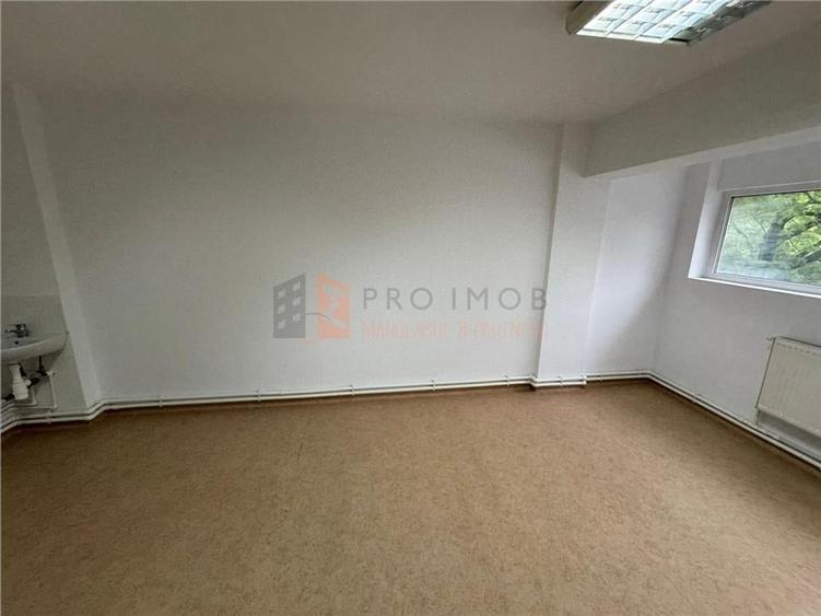 Spatiu comercial zona Ultracentrala - 12