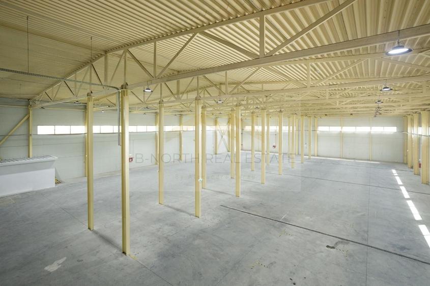 Hală industrială 1000 mp Otopeni | Rampe TIR | ISU | Acces DN1 & Centură - 1