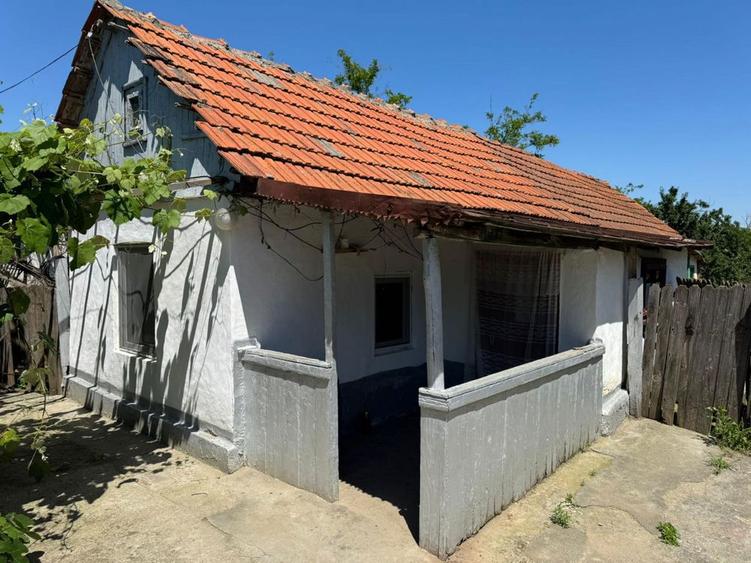 Casa parter Braila Ulmu/ Mohreanu curte 1225mp - 4