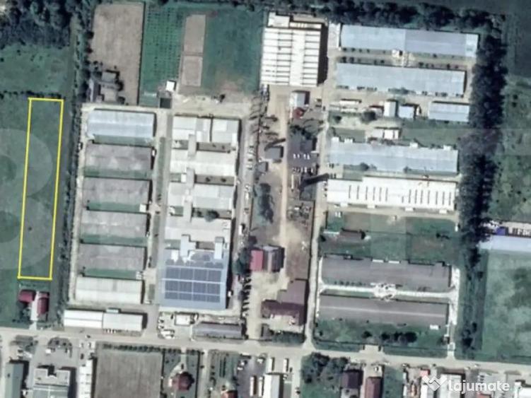 Teren Extravilan de Vanzare 40 Ari Strada Spicului - 1