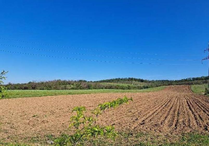 Cota de 1/2 din teren extravilan, comuna Rogova, Jud Mehe... - 2