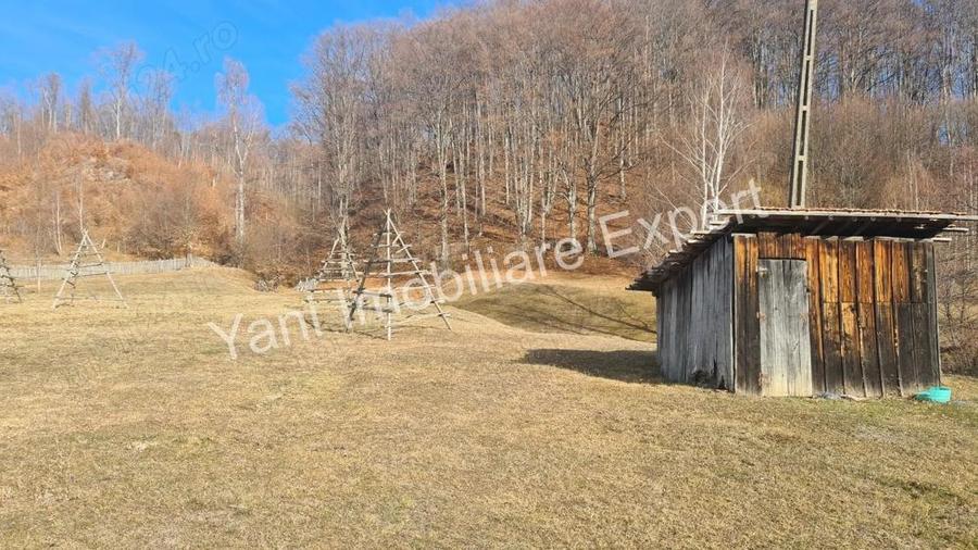 Teren de vanzare in comuna Cicane?ti, Jude? Arge?. - 10