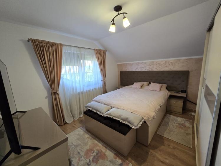 Casa de Vis, Serbanesti - 17