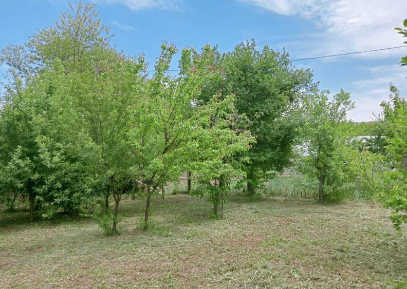 Casa Cujmir Mehedinti | Situata la strada | Teren 2038 mp| - 8