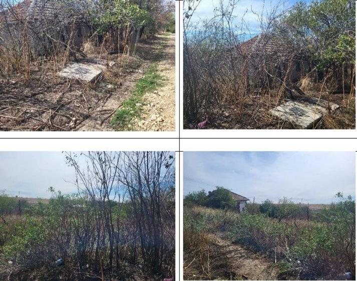 Casa si teren Sat Guruieni, cota parte de 1/2 , ID: R2319667 - 12