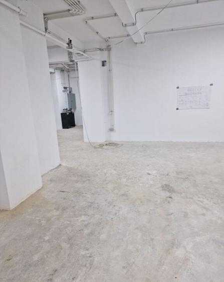 Cismigiu, teren 370 mp+ sp com 360 mp - 4