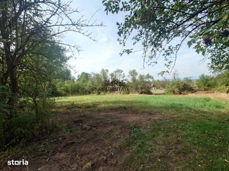 Teren intravilan si cladiri in Lunca - 12