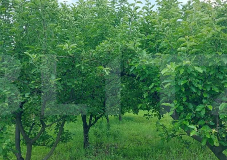 Casa de vanzare, la 11 km de Targu Jiu - 1