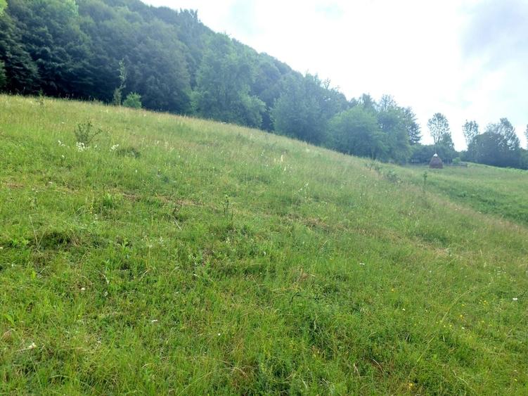 Izbucul Cernei,Gorj - 2