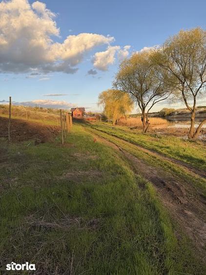 Teren de vanzare Walter Maracineanu Comuna Iepuresti judet Giurgiu - 2