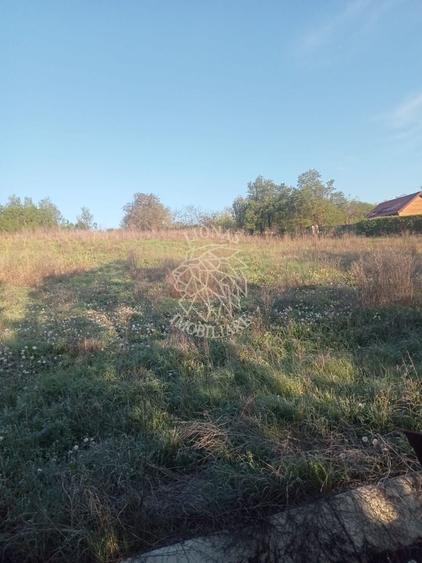 Teren intravilan 100 ari  front 80 ml utilități drum asfaltat Ghirolt Gherla - 3