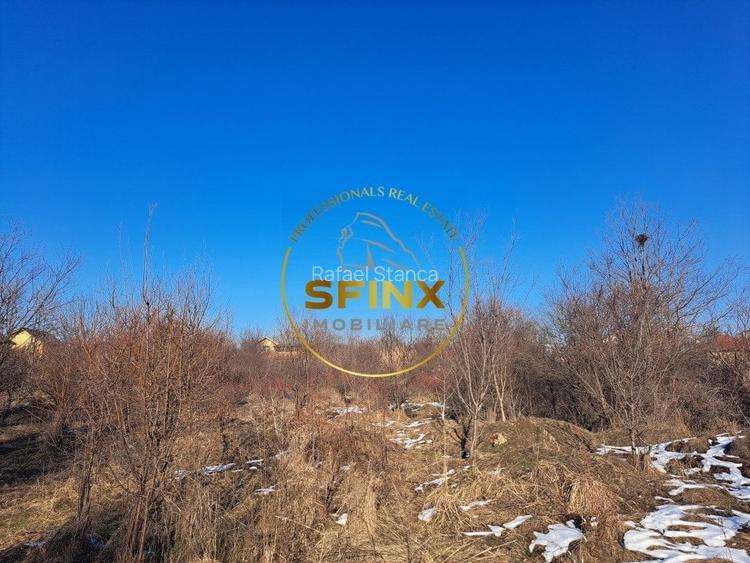 Teren intravilan de vanzare Bragadiru