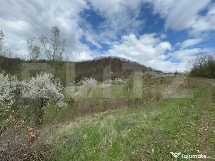 Vand 17 ha teren extravilan, Carmazanesti - 3