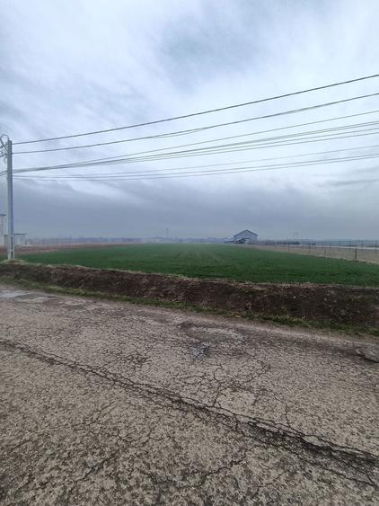 Teren de vanzare fantana mare suceava - 2